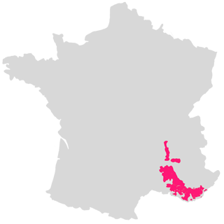 Vallée du Rhône
